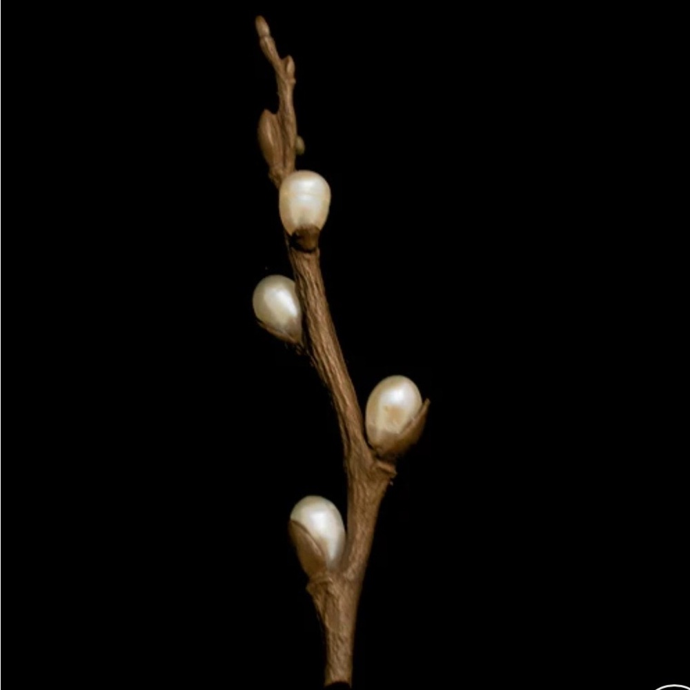 Michael Michaud P Willow Brooch Pin